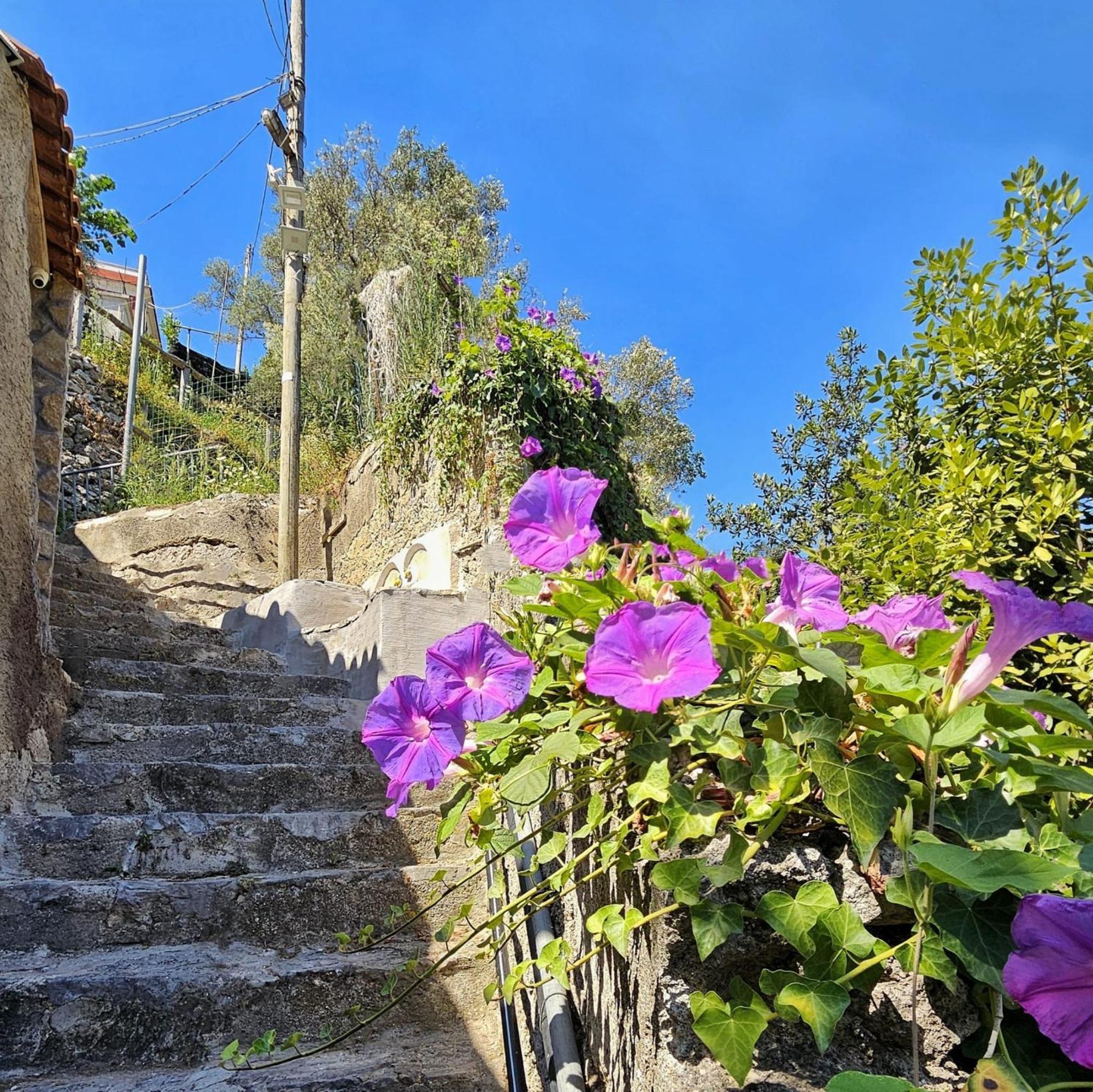 Villa Ines Maiori Luaran gambar